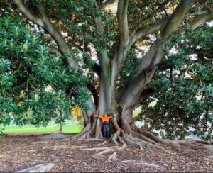 arborist_services_perth