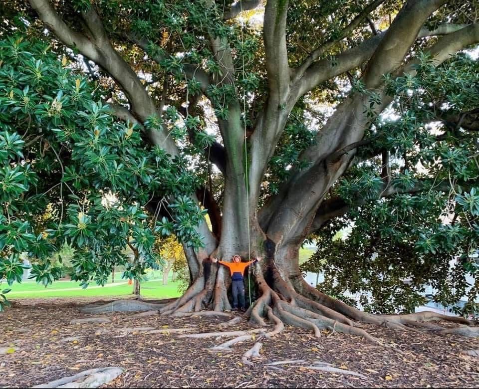 arborist_services_perth