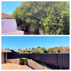 bush removal services perth