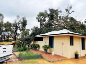 emergency_tree_removal_perth