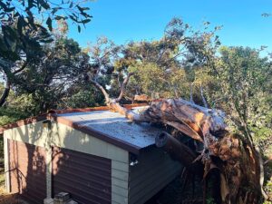 emergency_tree_services