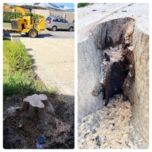 stump_removal