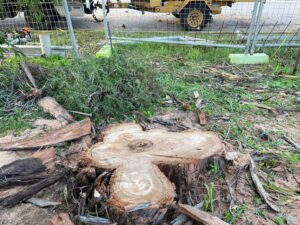 stump_removal_perth