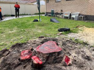 stump_removal_services (1)