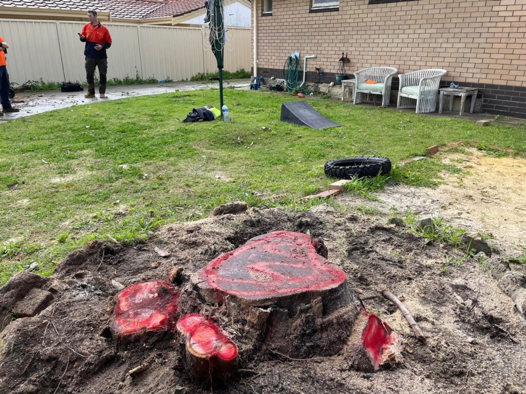 stump_removal_services