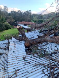 tree_fallen_on_house