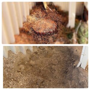 tree_strump_removal_services