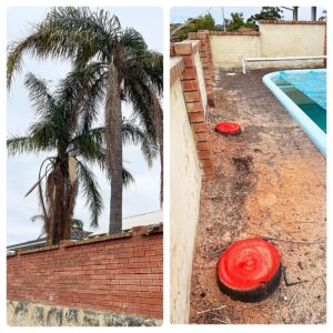 tree_stump_removal_perth